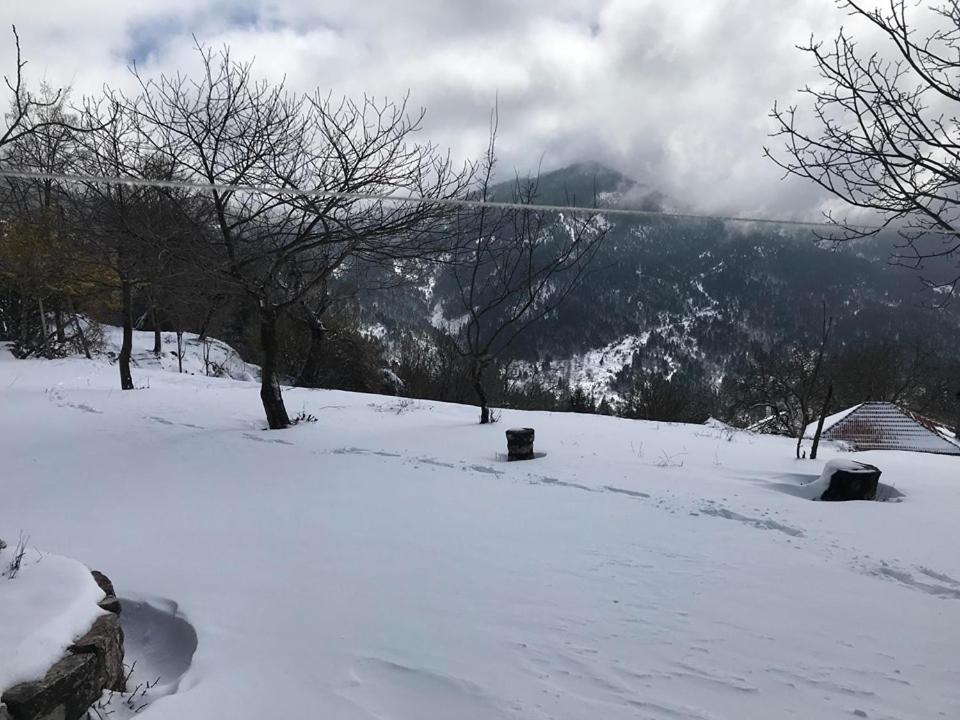 Mikro Katafygio Stavli المظهر الخارجي الصورة